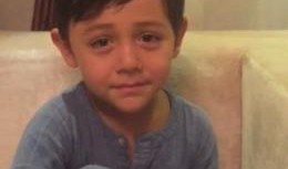 刘烨爆料诺一视频,温馨亲子互动引网友热议